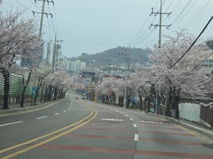 첨부 이미지